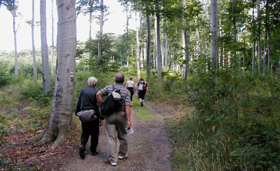 Turistické chodníky